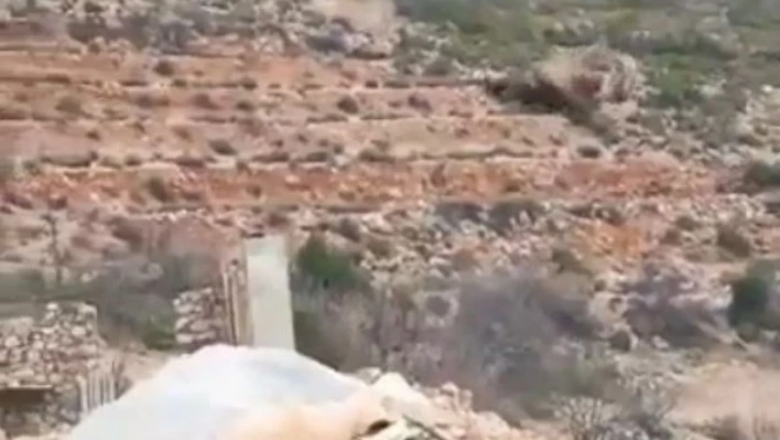 Antalya'da dağdan gelen kaya paniği