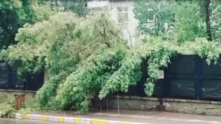 Ardahan'da yıldırım çarpması sonucu bir çocuk öldü