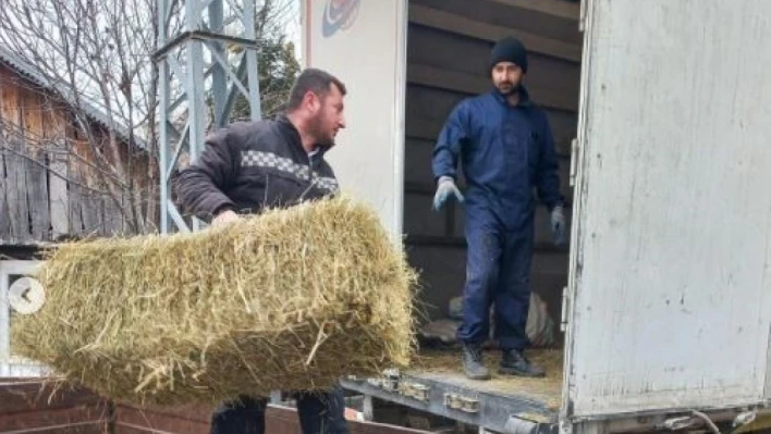 Ardahan'dan deprem bölgesine saman, yem ve 79 adet küçükbaş hayvan gönderildi