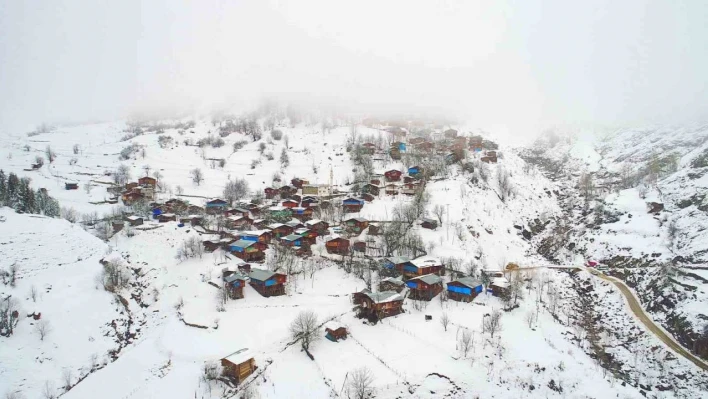Artvin'de çığ altında kalan bir kişi kurtarıldı