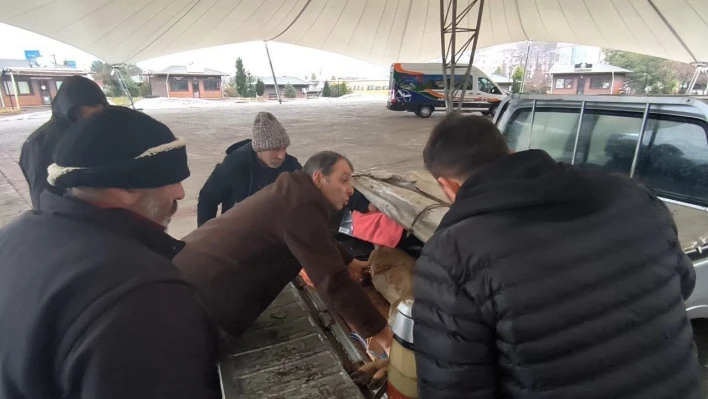 Artvin'de vatandaşların bitkin halde bulduğu karaca görevlilere teslim edildi