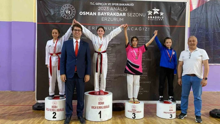 Aşkale'de Taekwondo Analig grup müsabakaları başladı