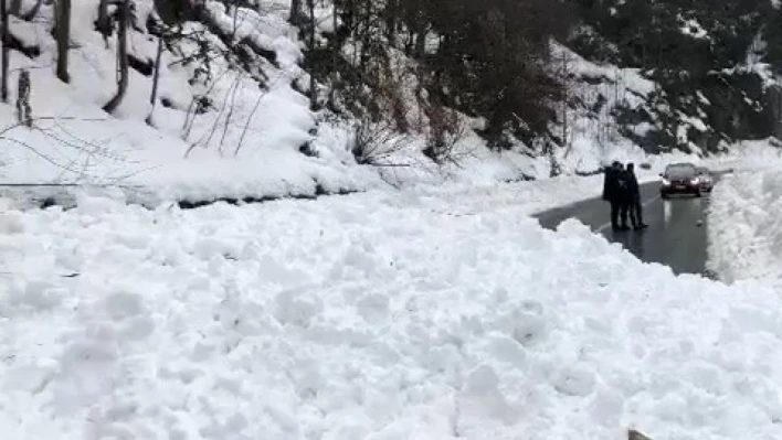 Ayder Yaylası yolunda çığ yolu ulaşıma kapattı