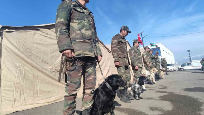 Azerbaycan'ın 'hassas burunlu' arama kurtarma köpekleri deprem bölgesinde
