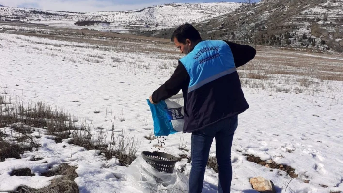 Battalgazi'de sokak hayvanlara yem bırakıldı