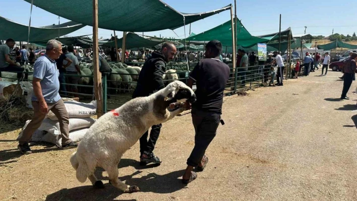 Bayramın ilk gününde kurban pazarında hareketlilik