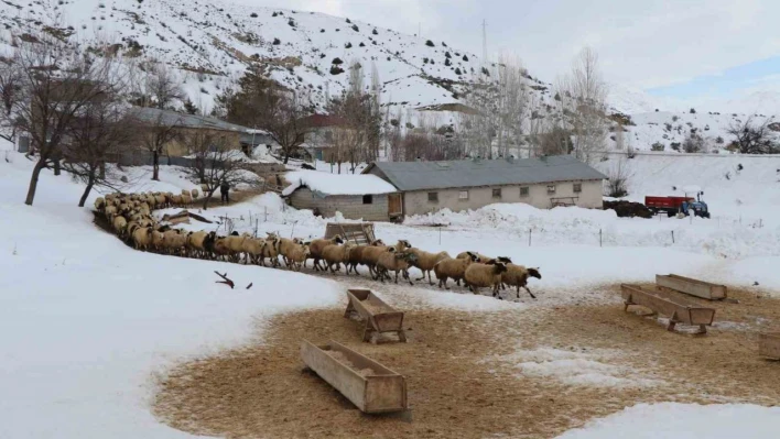 Besicilerin kış mesaisi sürüyor