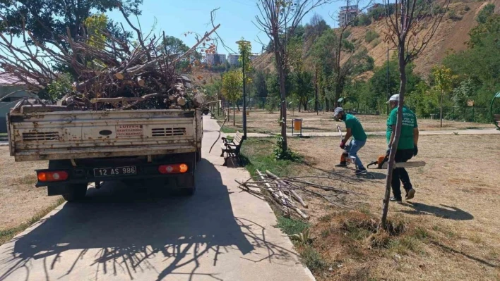 Bingöl Belediyesi, park ve bahçelerde bakım onarım çalışması başlattı