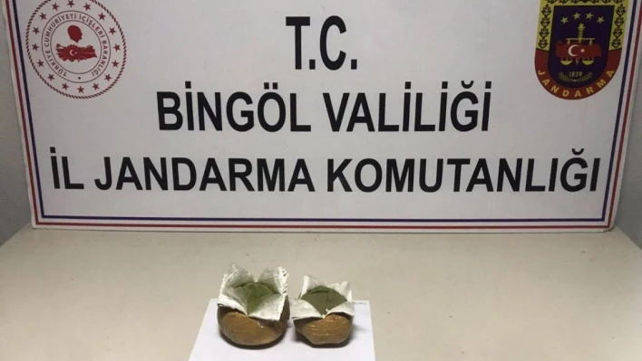 Bingöl'de 2 bin 507 kök kenevir ele geçirildi