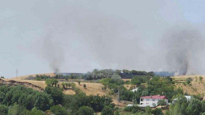 Bingöl'de ağaçlık alanda çıkan yangın büyümeden söndürüldü