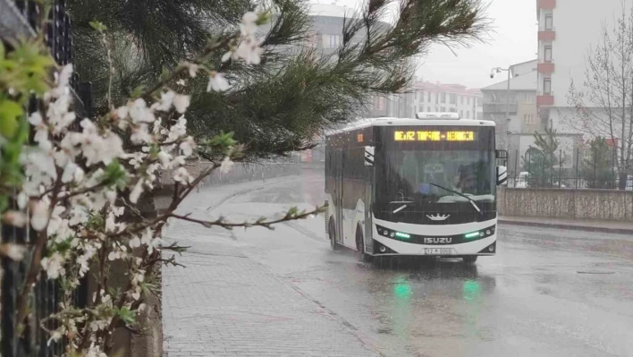 Bingöl'de kuvvetli sağanak yağış etkili oldu