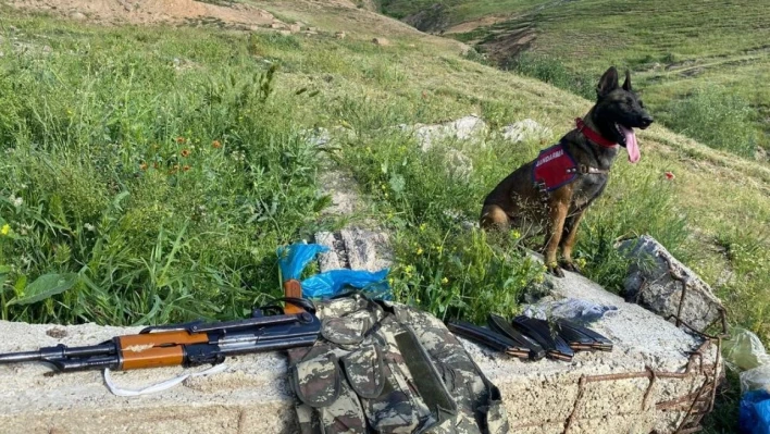 Bitlis merkezli silah kaçakçılığı operasyonu