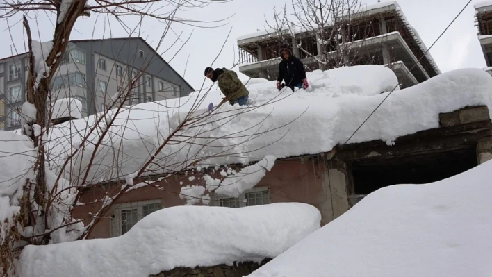 Bitlis'te tek katlı evler kara gömüldü