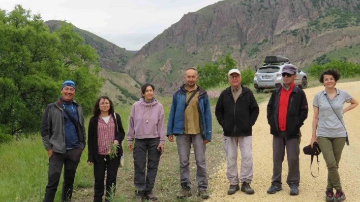 Bu bitki, dünyada sadece Tunceli'nin 2 köyünde var