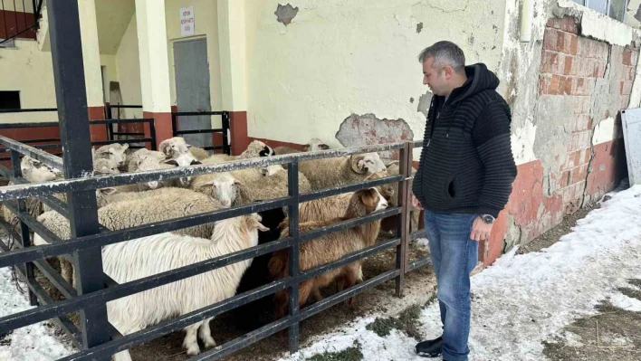 Bu ilçede ahırından koyununu alan depremzedelere bağışladı