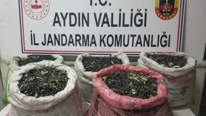 Çaldılar, yağ yapıp sattılar