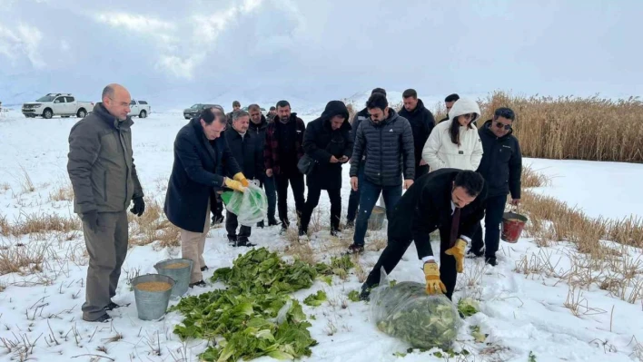 Çaldıran'da yaban hayvanları için yemleme çalışması yapıldı