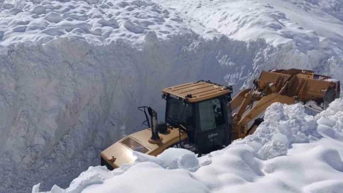 Çatak'ta çığ düştü: 9 yerleşim yerinin yolu kapandı