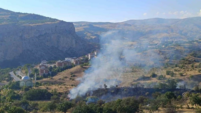 Çemişgezek'teki yangın yerleşim yerlerine sıçramadan söndürüldü