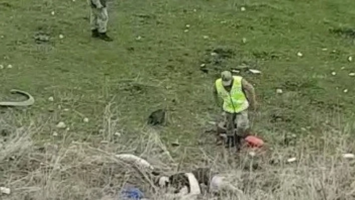 Çıldır'da trafik kazası: 1 ölü, 2 yaralı