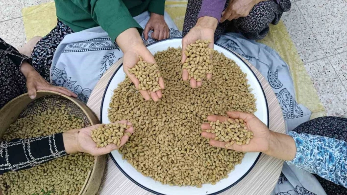 Coğrafi işaretli Ulukale dutu, Tunceli'nin köyünden çıkıp dünyaya ihraç ediliyor