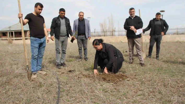 Cumhuriyet savcıları fidan dikti