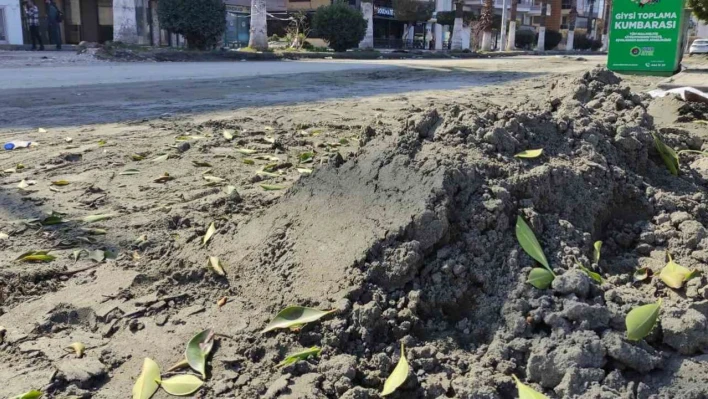 Deniz kumu sanıldı, kılcal damarlardan yüzeye çıkan sitrik kil olduğu anlaşıldı