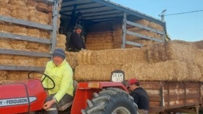 Deprem bölgesine saman ve yem gönderildi