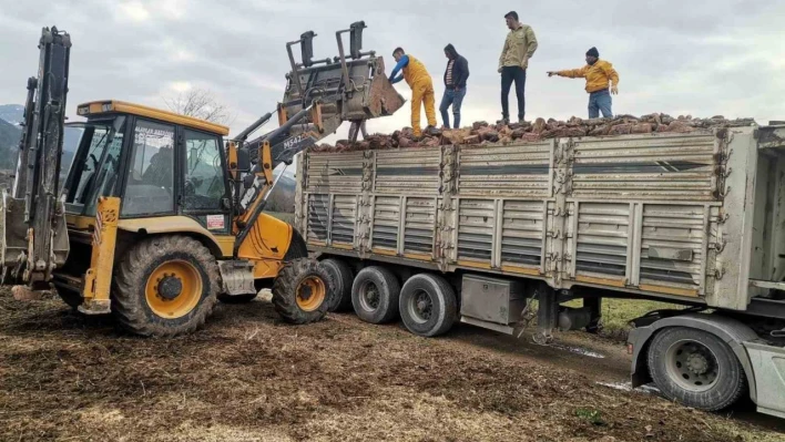 Deprem bölgesine yakacak odun ve yem yardımı gönderildi