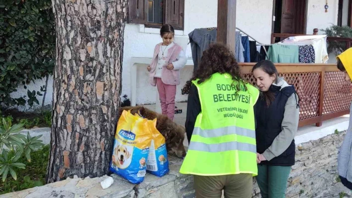 Depremden kurtulan Ege'nin hayvan sevgisi