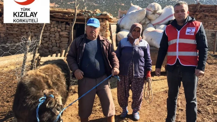 Depremzedelere büyükbaş hayvanını bağışladı