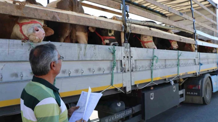 Doğu'da kurbanlık sevkiyatına sıkı denetim