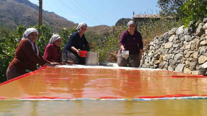 Dutun önemli geçim kaynağı olduğu Kemaliye'de kadınların zorlu pestil ve pekmez yapımı imece usulü ile eğlenceli hale geliyor