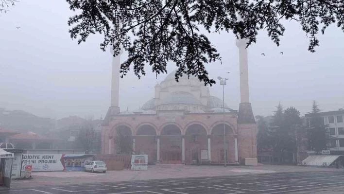 Düzce'de sis günlük yaşamı olumsuz etkiliyor