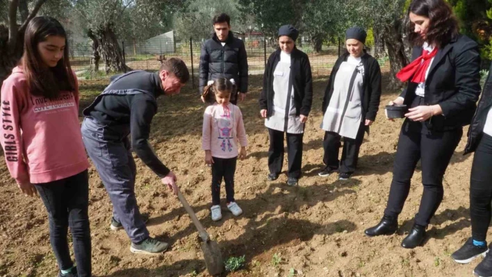 Edremit'te depremzedeler, konakladıkları otelin bahçesine zeytin fidanı dikti