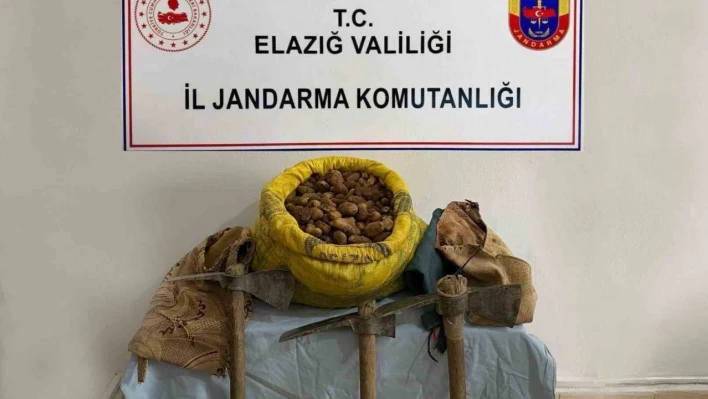 Elazığ'da 30 kilogram salep bitkisi ele geçirildi