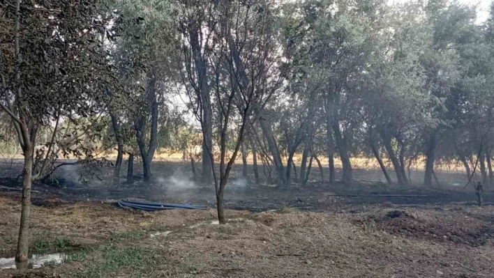 Elazığ'da bahçede korkutan yangın