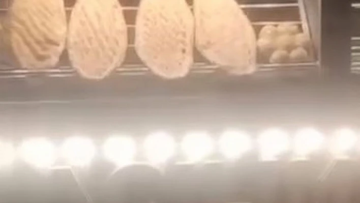 Elazığ'da bir fare ekmeklerin üstünde gezerken görüldü