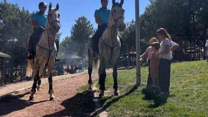 Elazığ'da Harput ve Cip, Atlı Jandarma Timlerine emanet