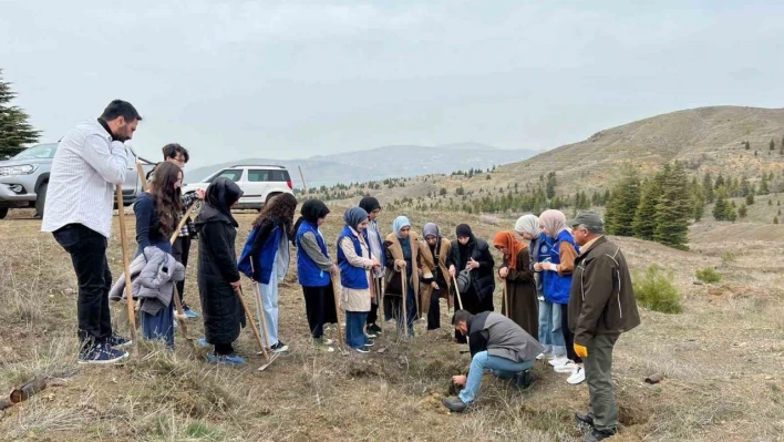 Elazığ'da öğrenciler fidan dikim etkinliğinde buluştu