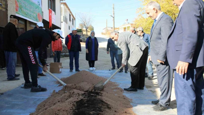 Elazığ'da organik mercimek üretimi artıyor