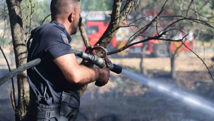 Elazığ'da örtü ve bahçe yangını