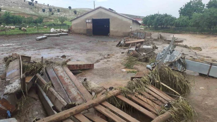 Elazığ'da sağanak yağış hayatı felç etti, 105 hayvan telef oldu