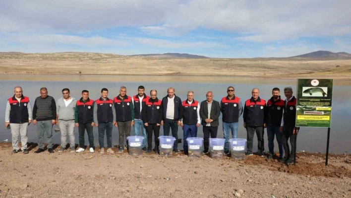 Elazığ'da Su Kaynakları Balıklandırma Projesi sürüyor