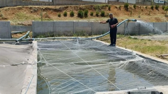 Elazığ'da Su Ürünleri AR-GE Merkezinde üretim çalışmaları sürüyor