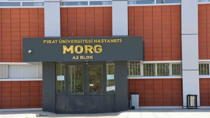 Elazığ'da uçurumdan düşen genç hayatını kaybetti