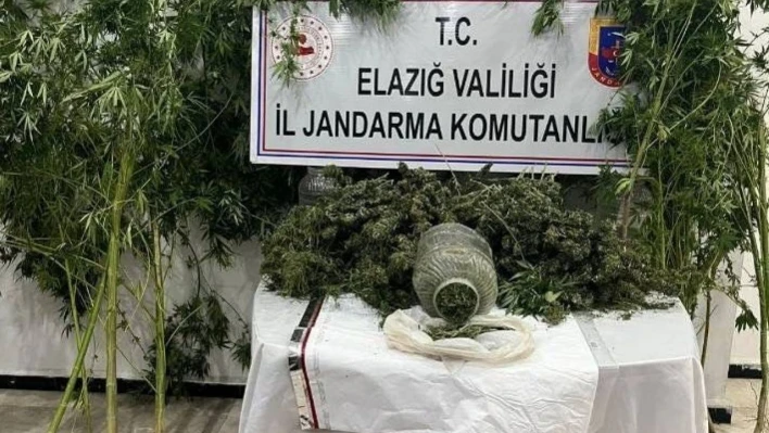 Elazığ'da uyuşturucuyla mücadele: 1 tutuklama