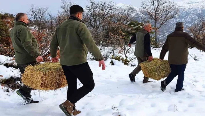 Elazığ'da yaban hayvanları için doğaya yem bırakıldı