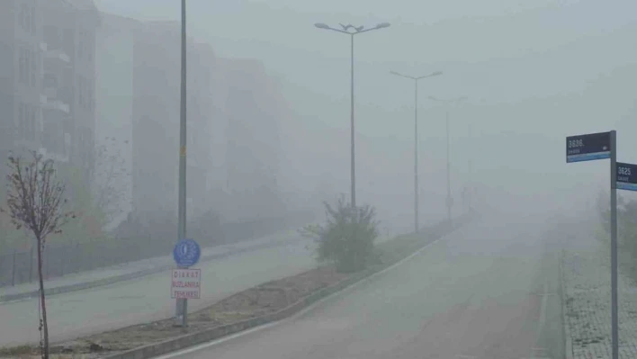 Elazığ'da yoğun sis, bir mahalle adeta kayboldu