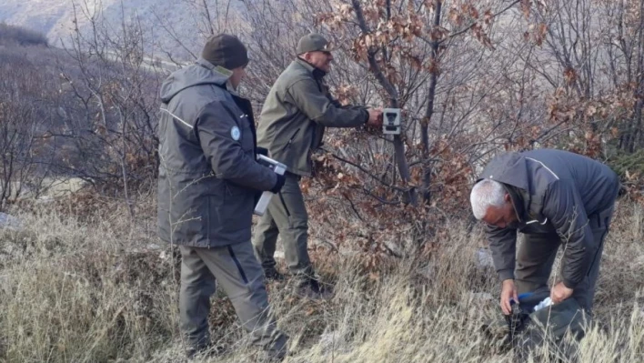 Elazığ'ın yaban hayatı fotokapanlar ile kayıt altına alınıyor